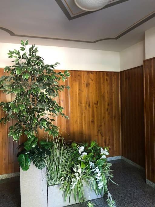 Rosymarty Apartment-vicino Firenze Prato (Prato)